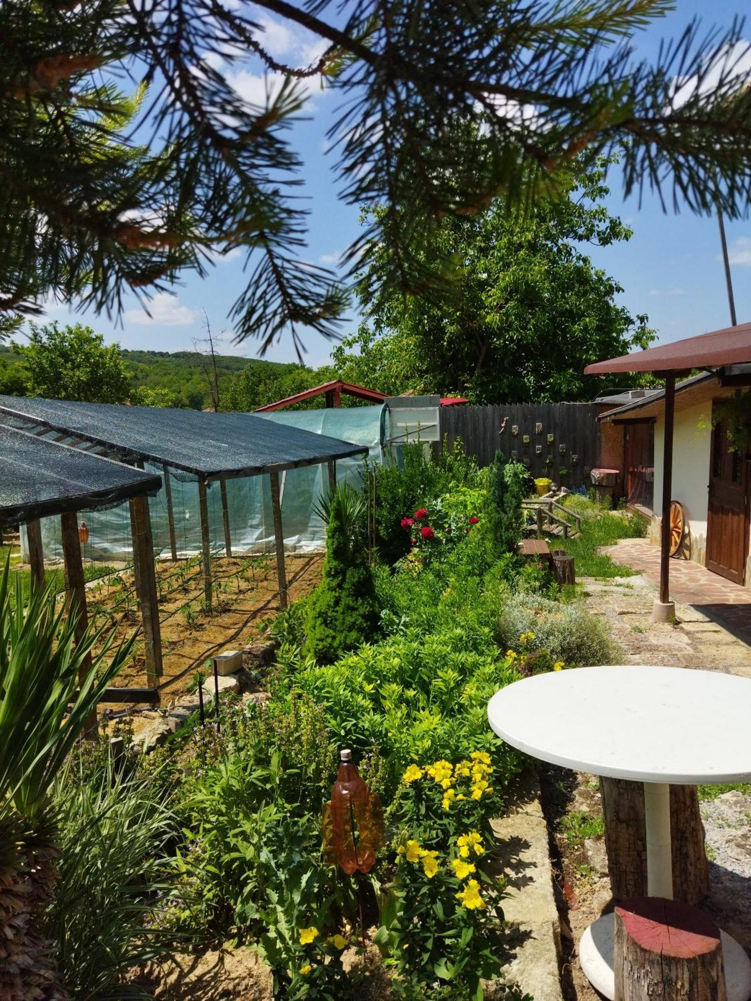 Къща Под Наем Petrova Hotel Cherven  Bagian luar foto